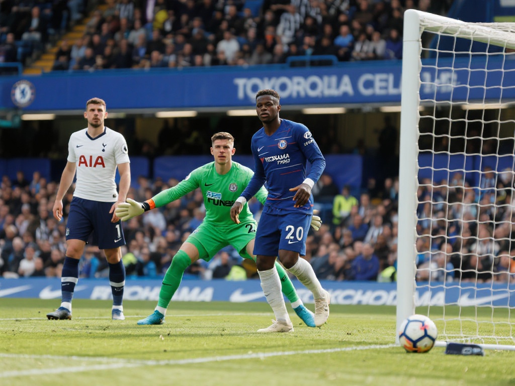 这一目标 这一目标